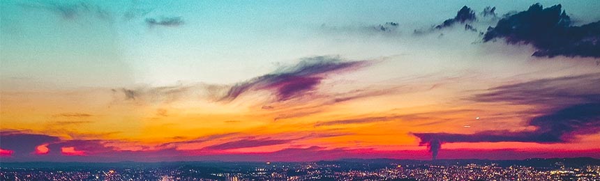 赵县茶虫网_赵县品茶